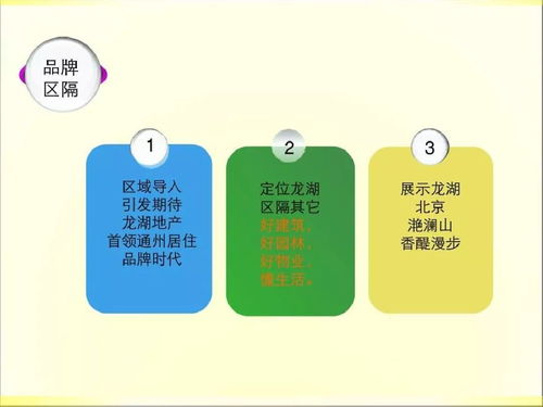 2019年龍湖房產(chǎn)項目 精益策劃與整合公關(guān)服務(wù)實施藍圖